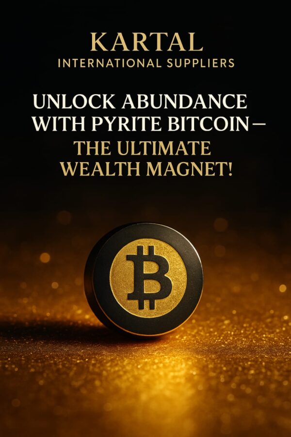 Luxury Wealth Magnet Coin | AUTHENTIC & PREMIUM | Best Gift for your loved ones